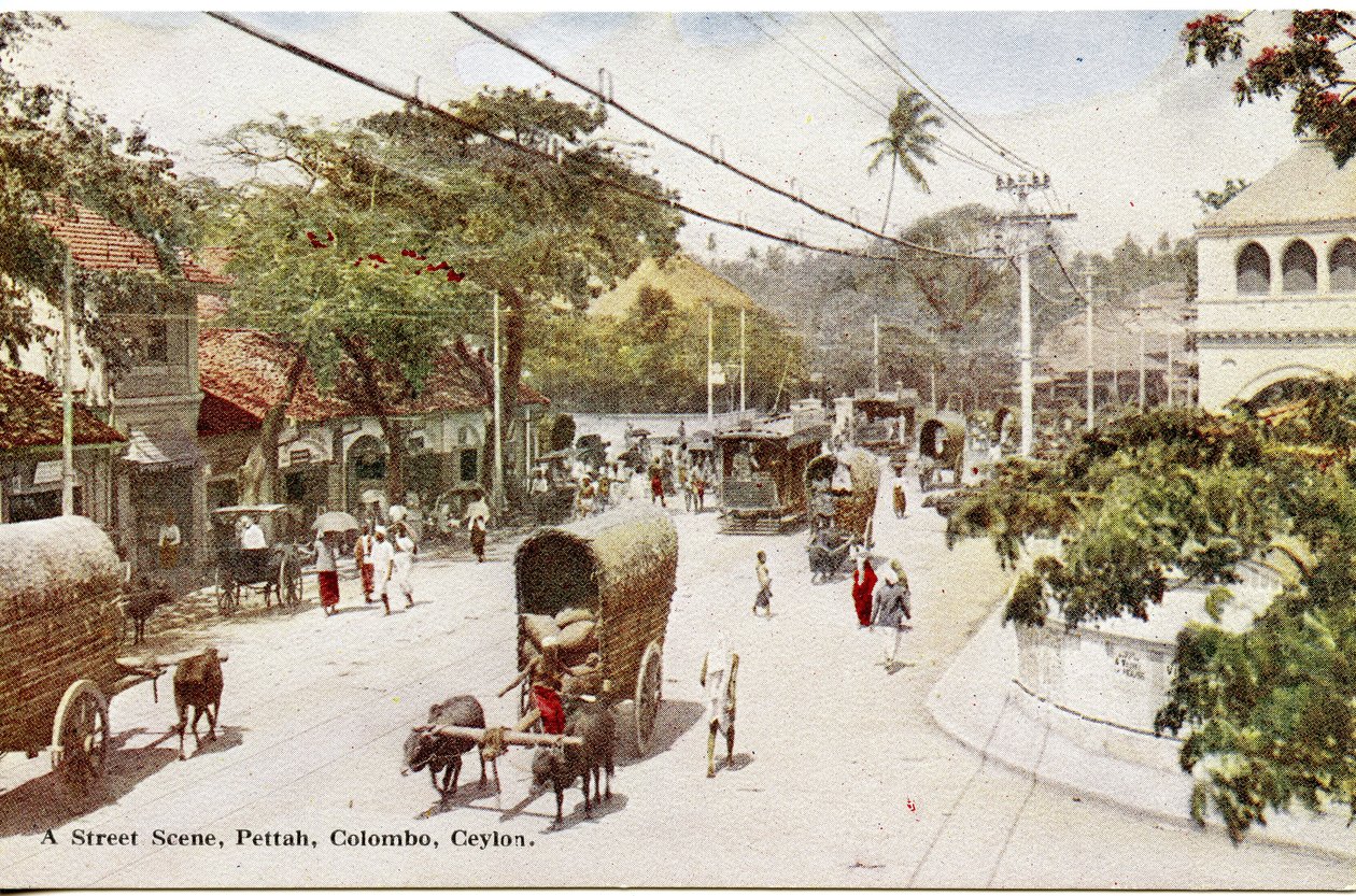 Utcai jelenet, Pettah, Colombo, Ceylon, 1900-20 körül (kézzel színezett fénykép) alkotó: Ltd. Ceylon Plâté