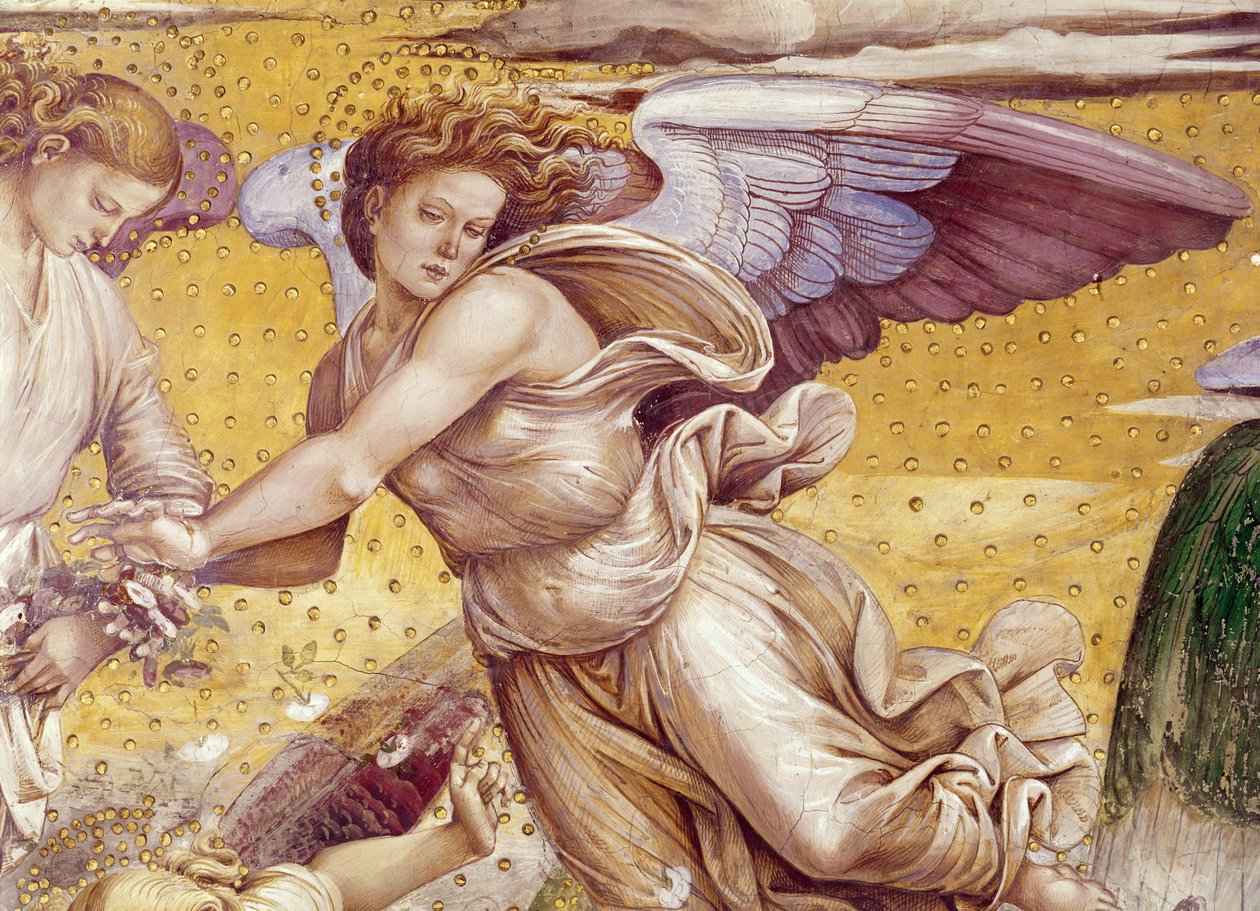 Részlet a kiválasztottakról a paradicsomban, a Madonna di San Brizio kápolnából, 1499-1504 alkotó: Luca Signorelli
