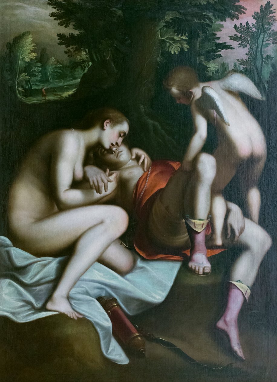 Adonis halála, 1585 előtt, Luca Cambiaso (olaj, vászon) alkotó: Luca Cambiaso