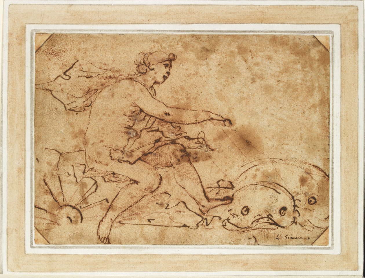 Galatea diadala, 17. század (tinta és vörös kréta papíron) alkotó: Luca Giordano