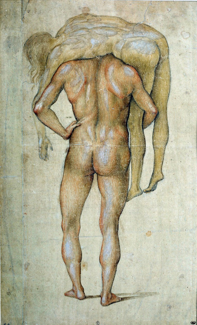 Egy testet viselő férfi Luca Signorelli rajza (1441-1523) 15. századi Párizs, Louvre Múzeum alkotó: Luca Signorelli