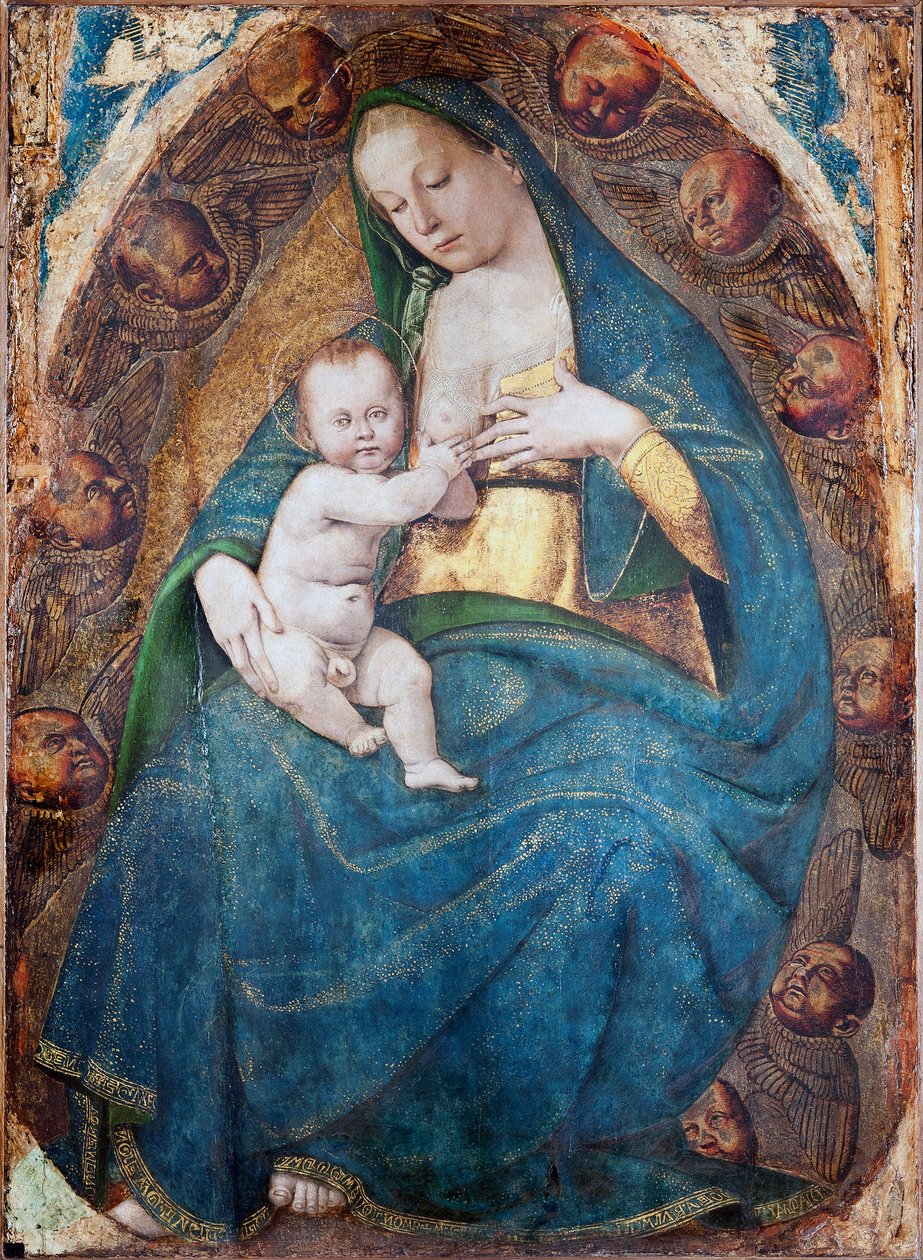 Ápoló Madonna, 1482-1485 körül alkotó: Luca Signorelli