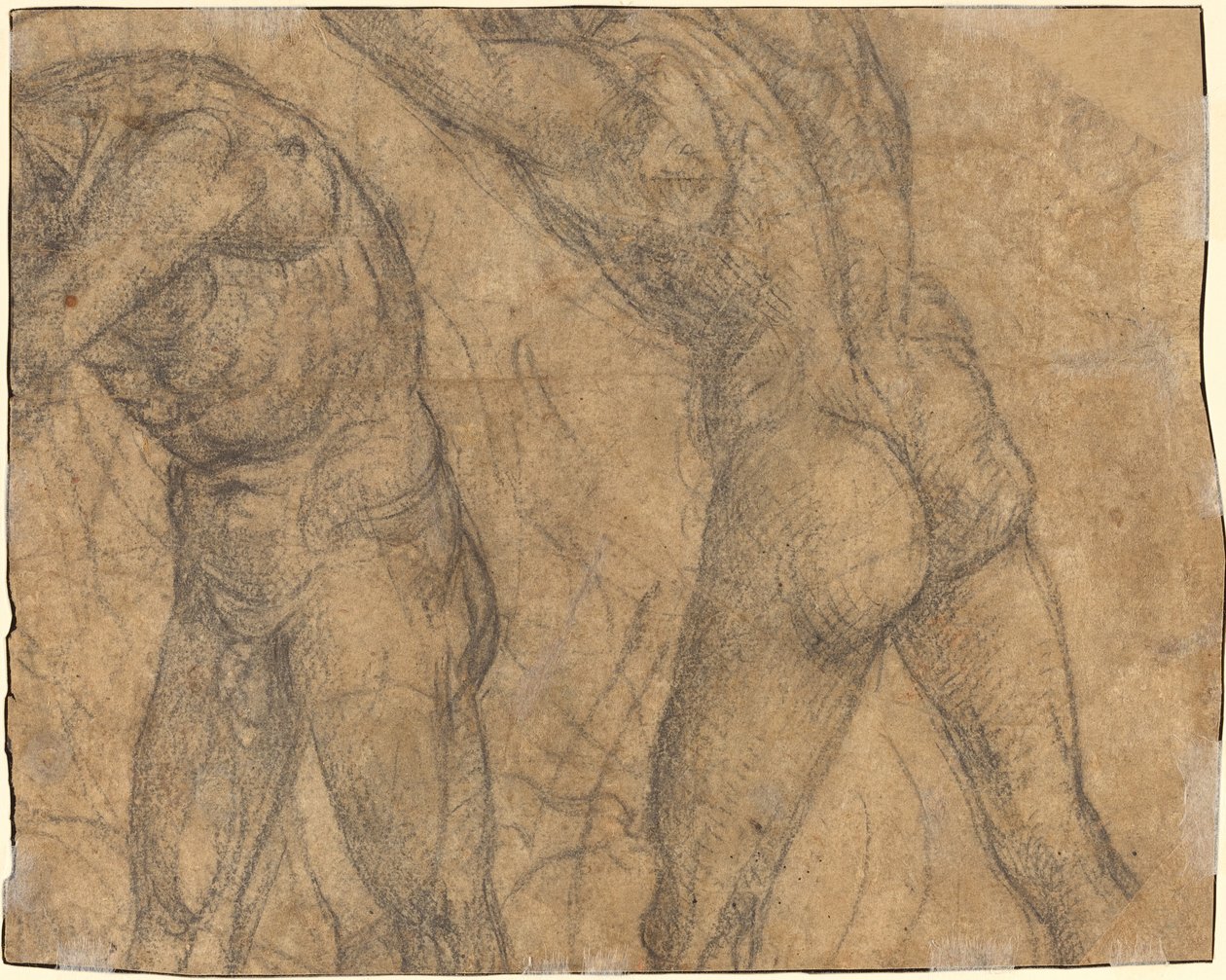 Két akt figura [fordítva] alkotó: Luca Signorelli