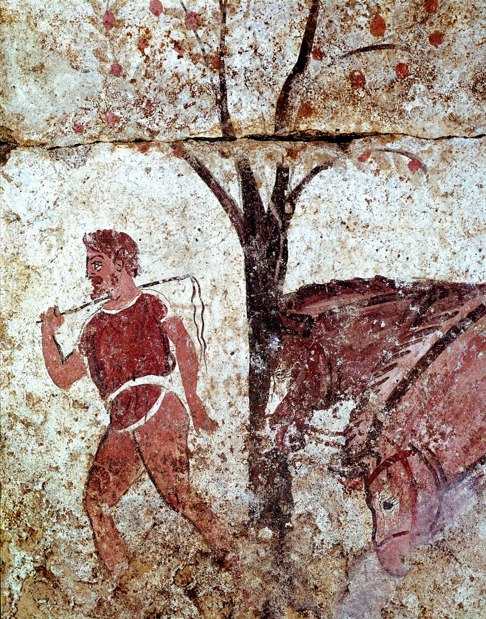 Két lovat húzó paraszt Lucaniai freskó a Kr.e. IV. századból, az olaszországi Paestum nekropoliszából. Museo nazionale archeologico, Paestum alkotó: Lucanian School