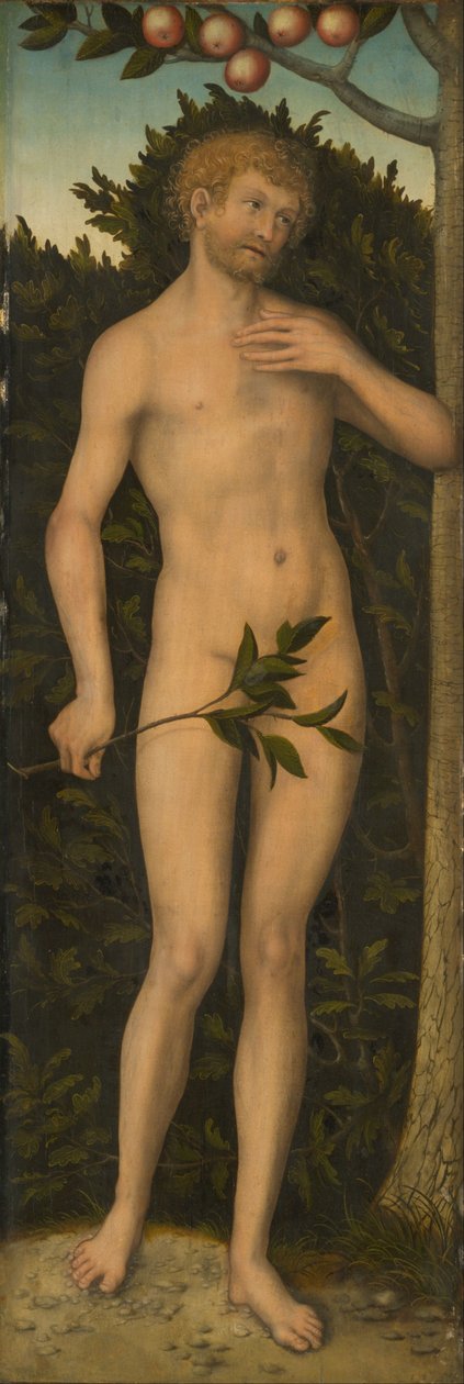 Ádám alkotó: Lucas Cranach the Elder