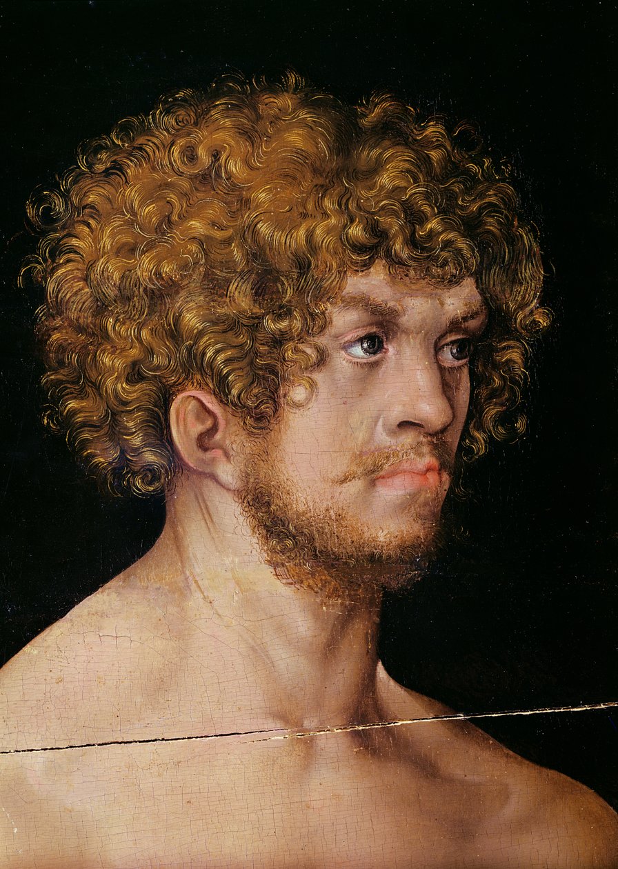 Ádám és Éva, Ádám fejének részlete (159264-es részlet) alkotó: Lucas Cranach the Elder