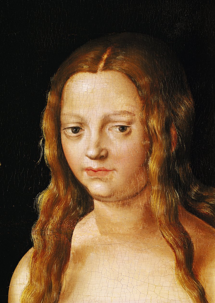 Ádám és Éva, Éva fejének részlete (159264-es részlet) alkotó: Lucas Cranach the Elder