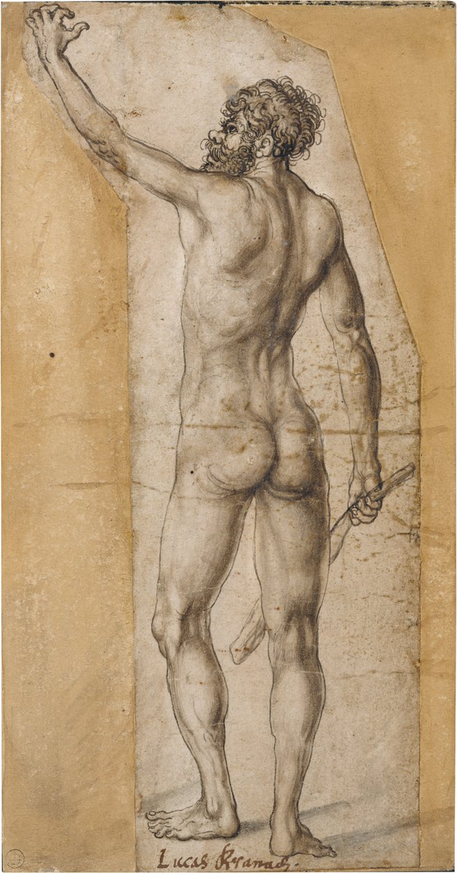 Akt, hátulról álló férfi alkotó: Lucas Cranach the Elder