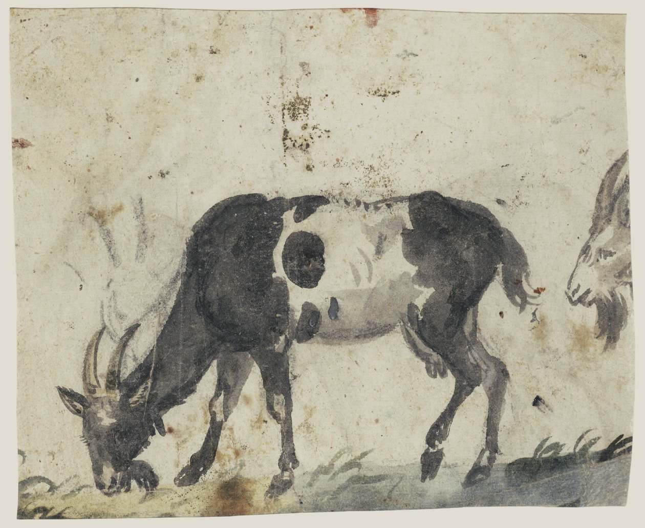 Tanulmány kecskékkel alkotó: Lucas Cranach the Elder