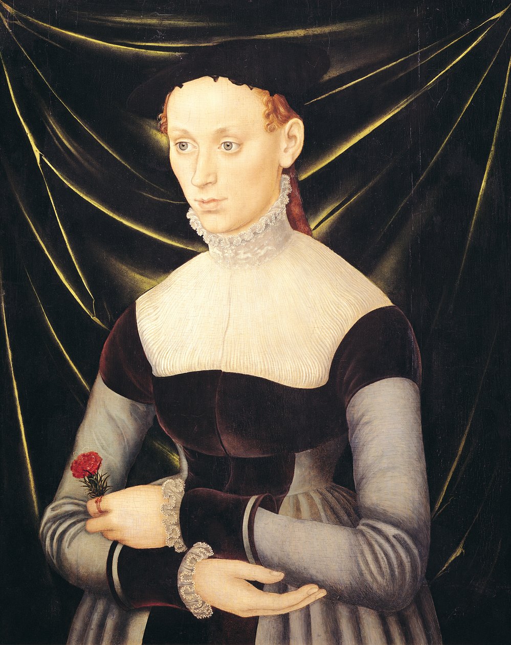 Nő egy szegfűvel alkotó: Lucas Cranach the Elder