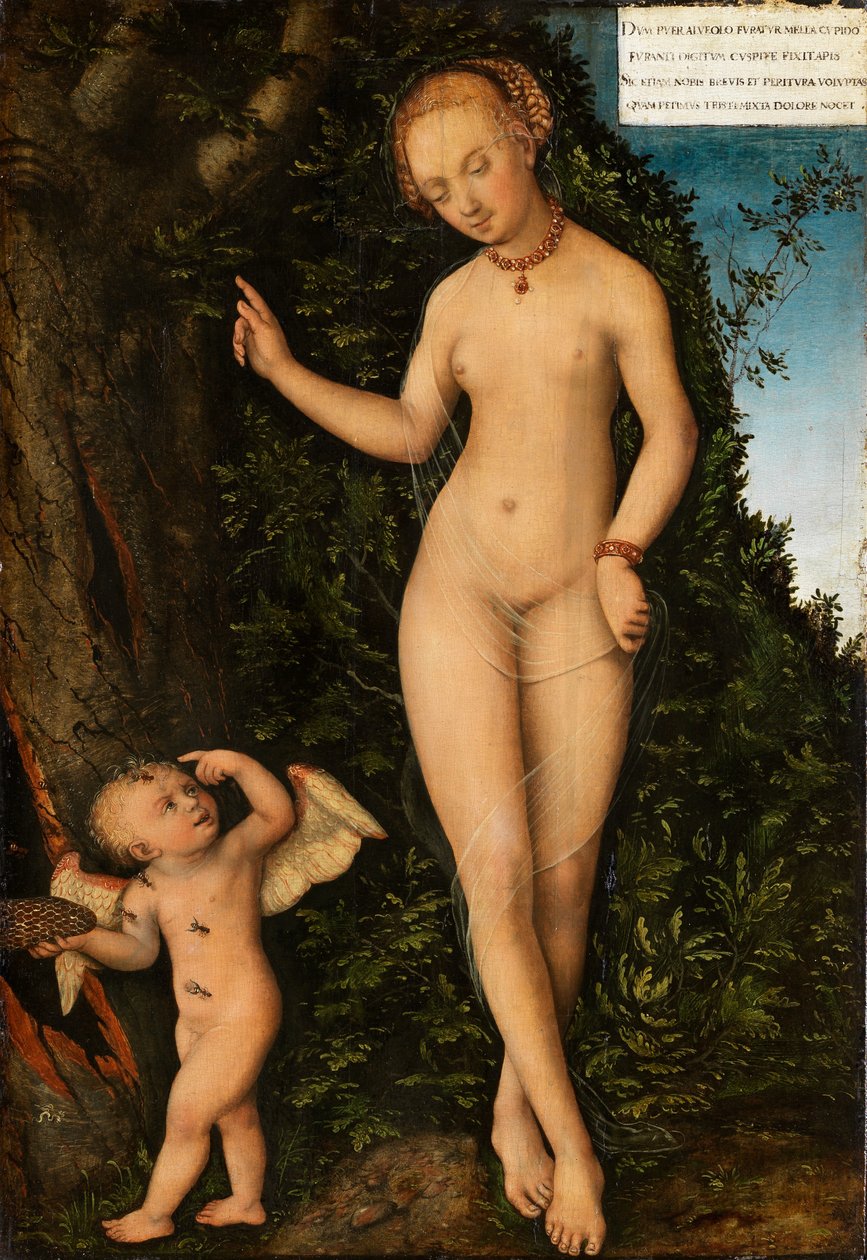 Vénusz és Ámor, a mézes tolvaj alkotó: Lucas Cranach the Elder