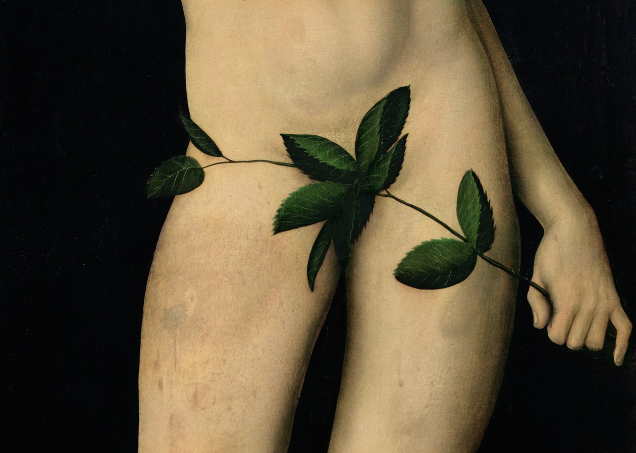 Ádám, 1528 olaj, panel részlete 9628 alkotó: Lucas Cranach the Elder