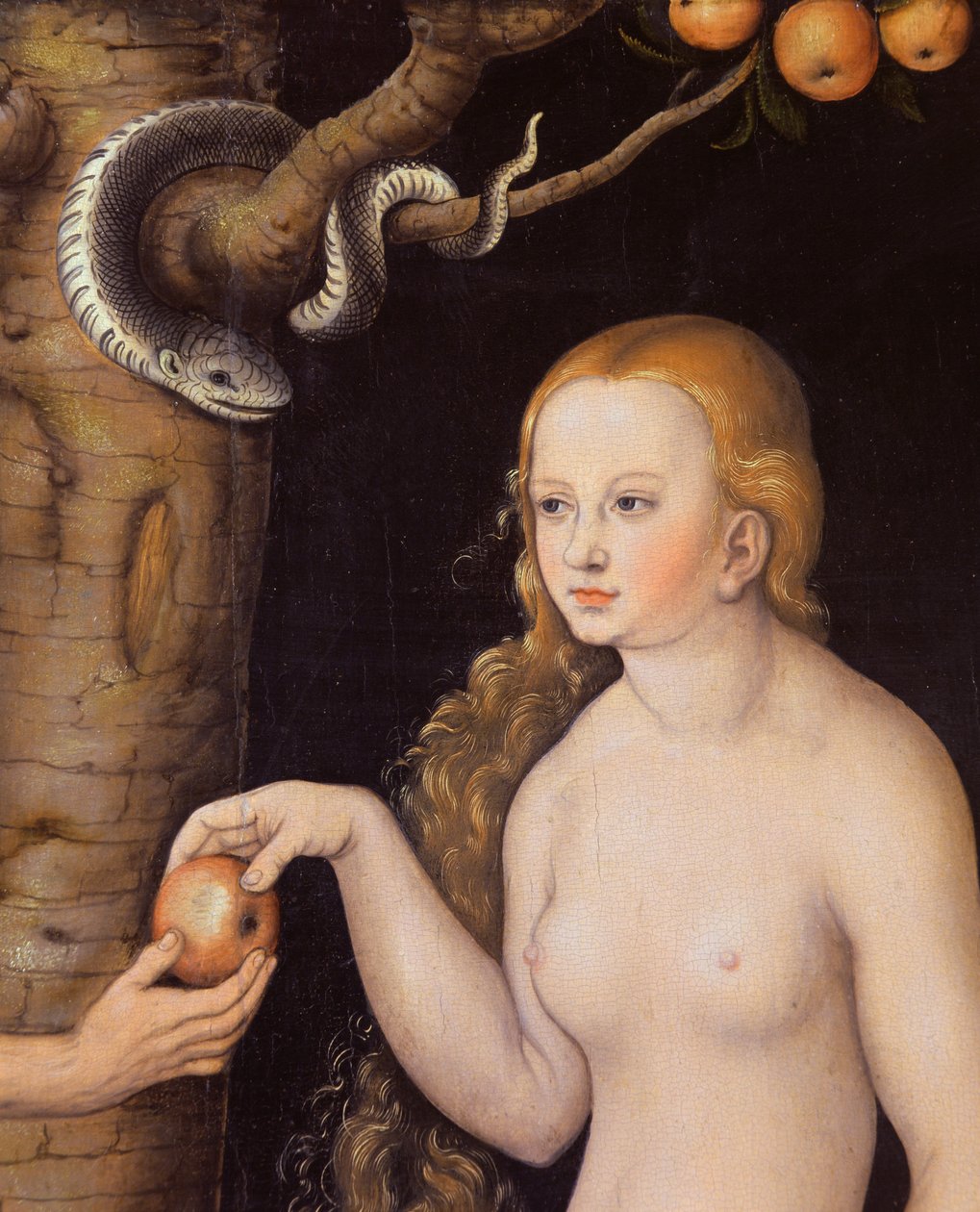 Éva az almát kínálja Ádámnak az Édenkertben és a kígyó, 1520-25 körül olaj, fa 407328 részlete. alkotó: Lucas Cranach the Elder