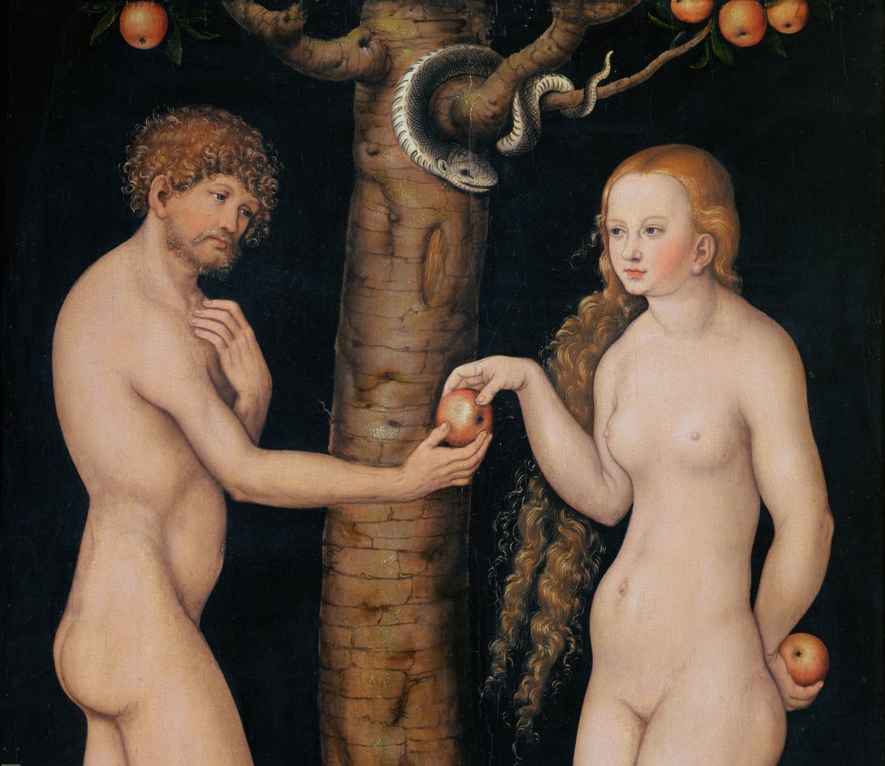 Éva felajánlja az almát Ádámnak az Édenkertben, 1520-25 körül, olaj, fa 407328 részlete alkotó: Lucas Cranach the Elder