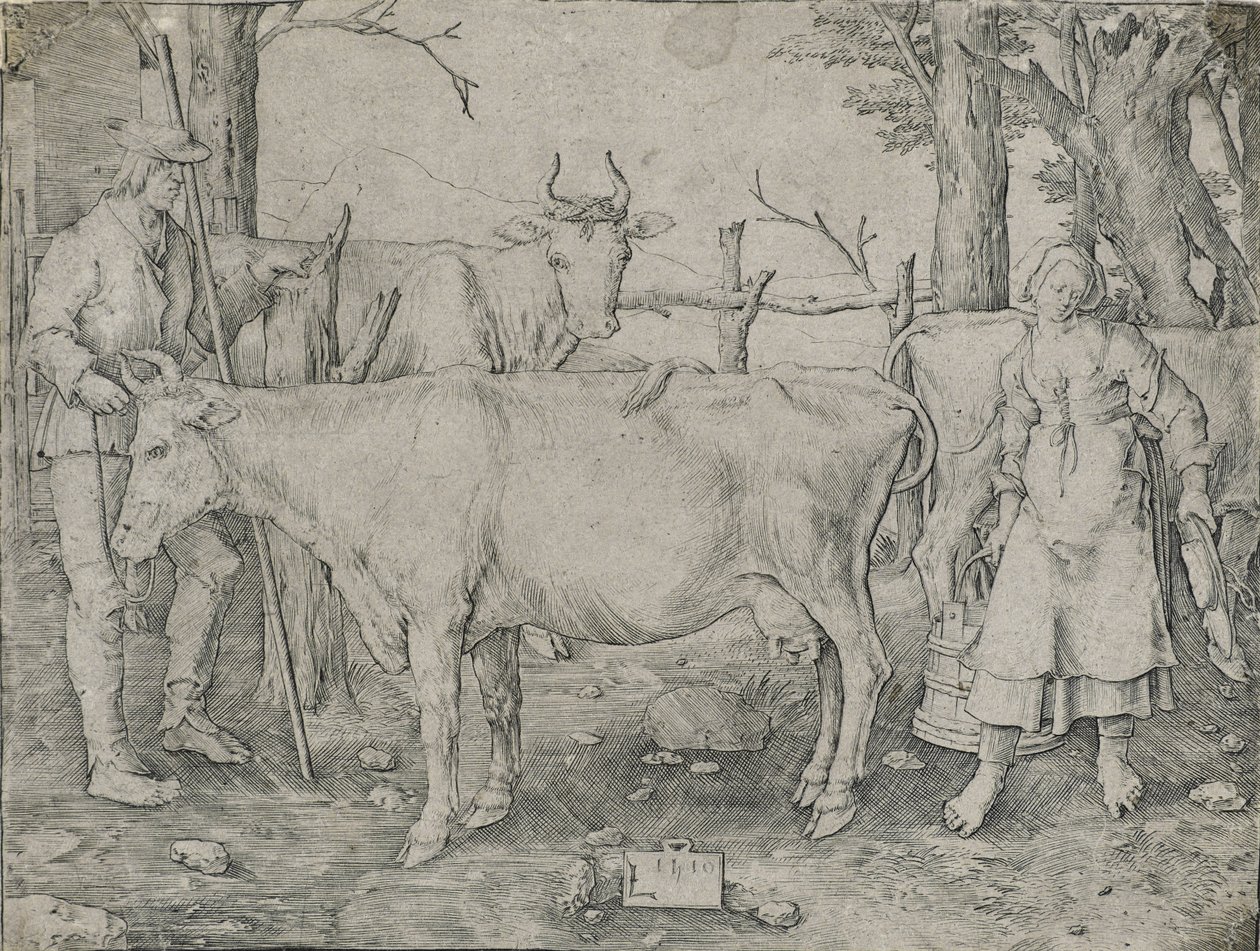 A tejeslány, 1510 alkotó: Lucas van Leyden