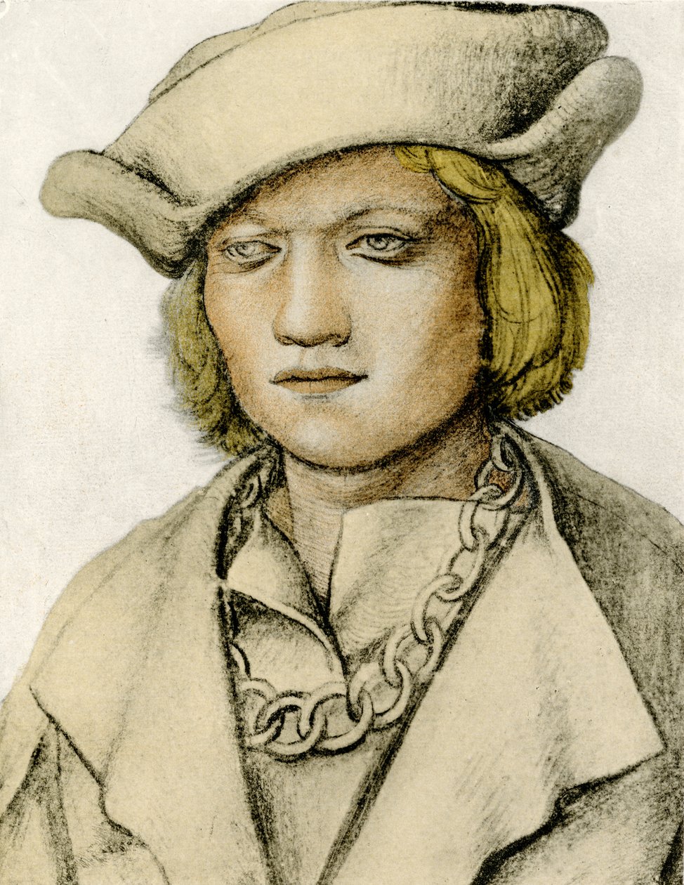 Portré egy fiatal férfi kalapban alkotó: Lucas Cranach the Elder