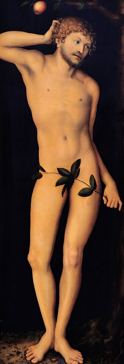 Ádám, 1528. alkotó: Lucas Cranach the Elder