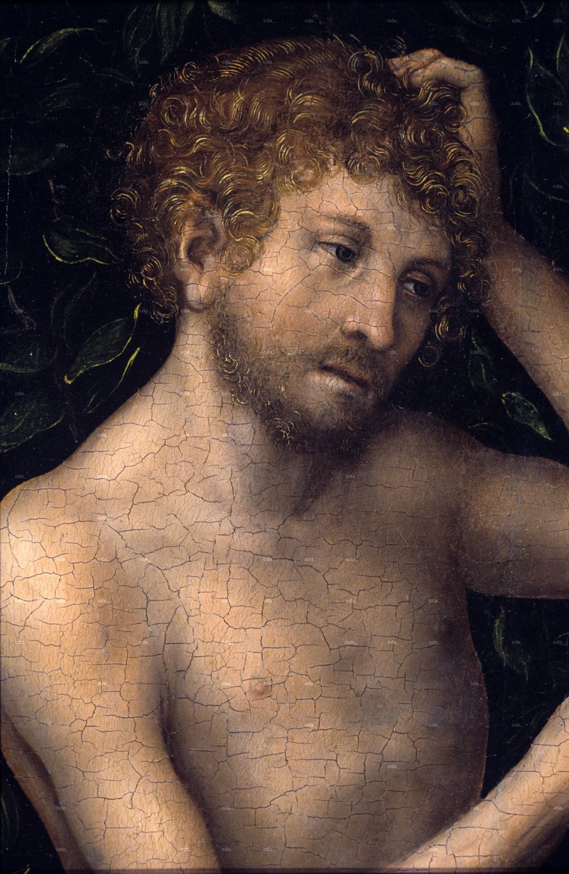 Ádám és Éva








































 részlet alkotó: Lucas Cranach the Elder