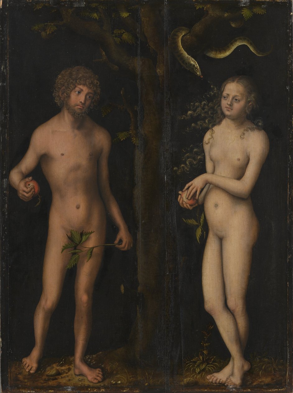 Német: Adam und Eva Ádám és Éva alkotó: Lucas Cranach the Elder