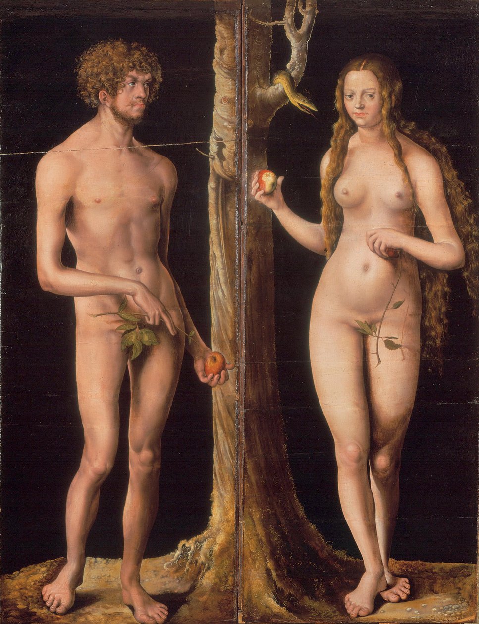 Német: Adam und Eva Ádám és Éva alkotó: Lucas Cranach the Elder