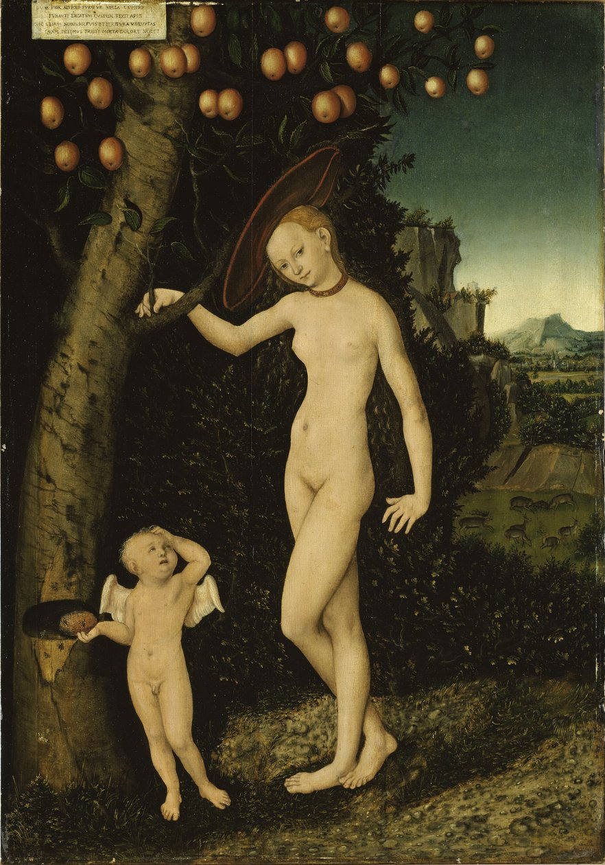 Német: Venus mit Amor als Honigdieb Vénusz és Ámor mint mézlopó alkotó: Lucas Cranach the Elder