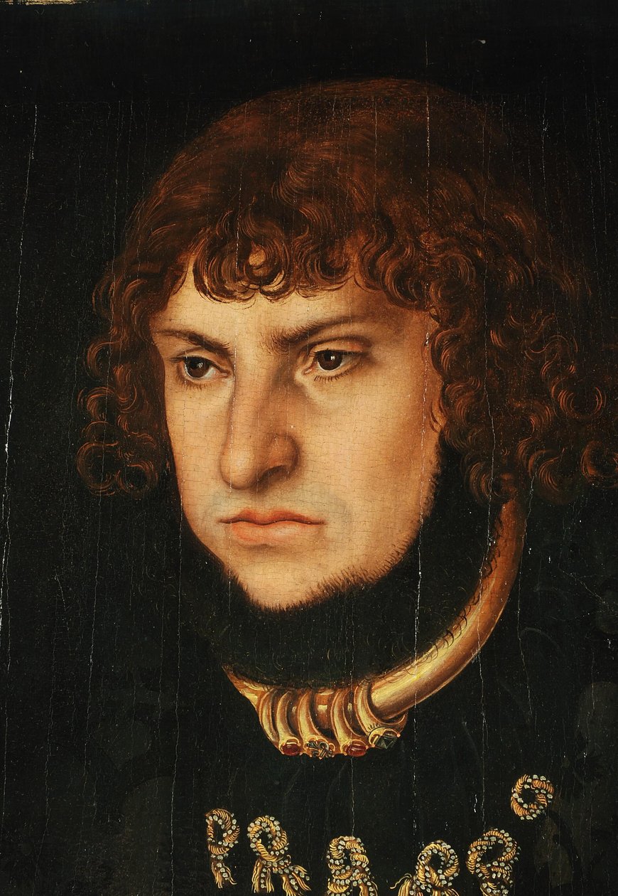 Johann a Szilárd, Szászország választófejedelme alkotó: Lucas Cranach the Elder