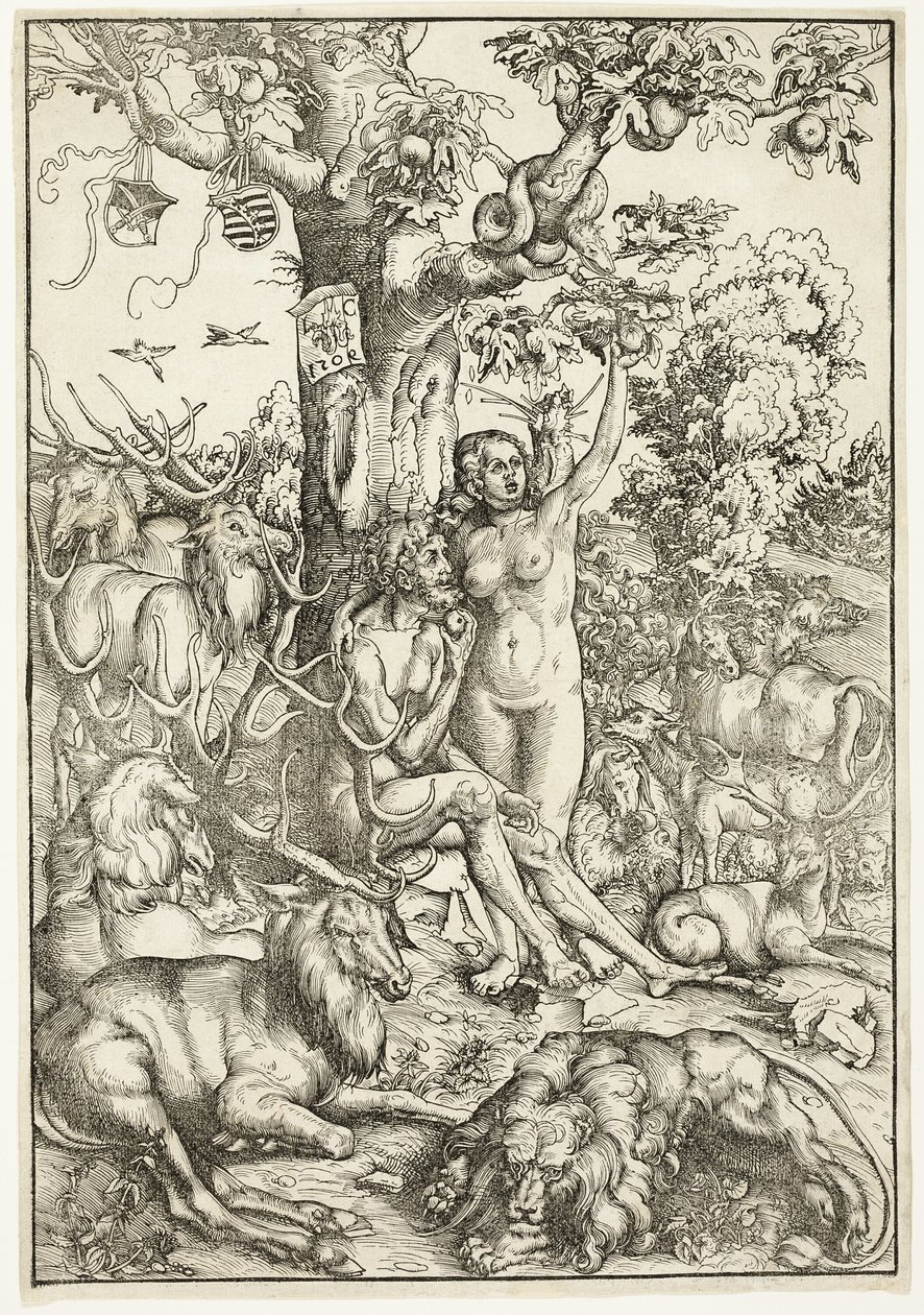 Az ember bukása alkotó: Lucas Cranach the Elder