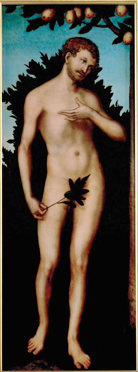 Adam alkotó: Lucas the Elder Cranach