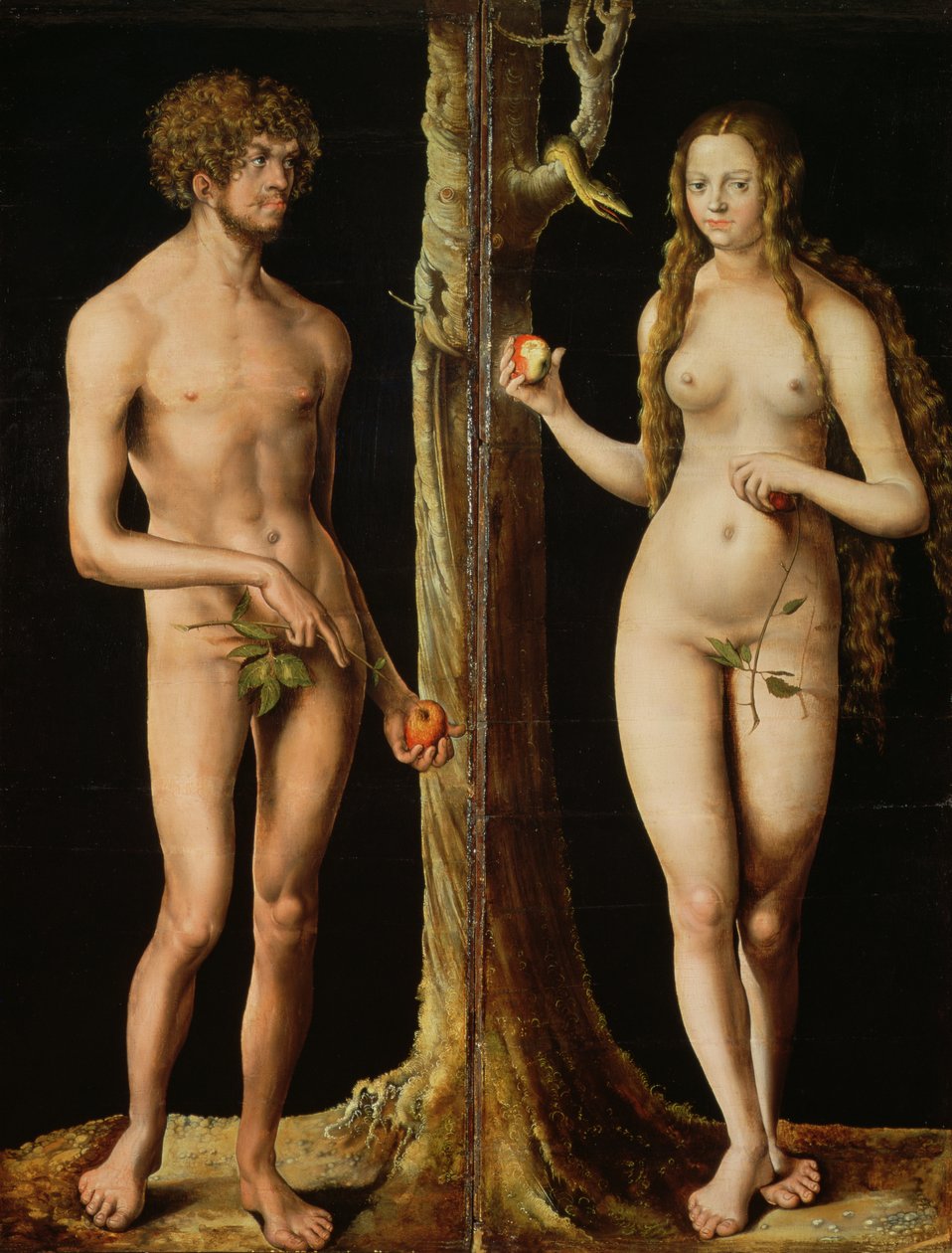 Ádám és Éva, 1508–1510 körül (olaj és tempera mészen) (lásd még: 159264) alkotó: Lucas the Elder Cranach