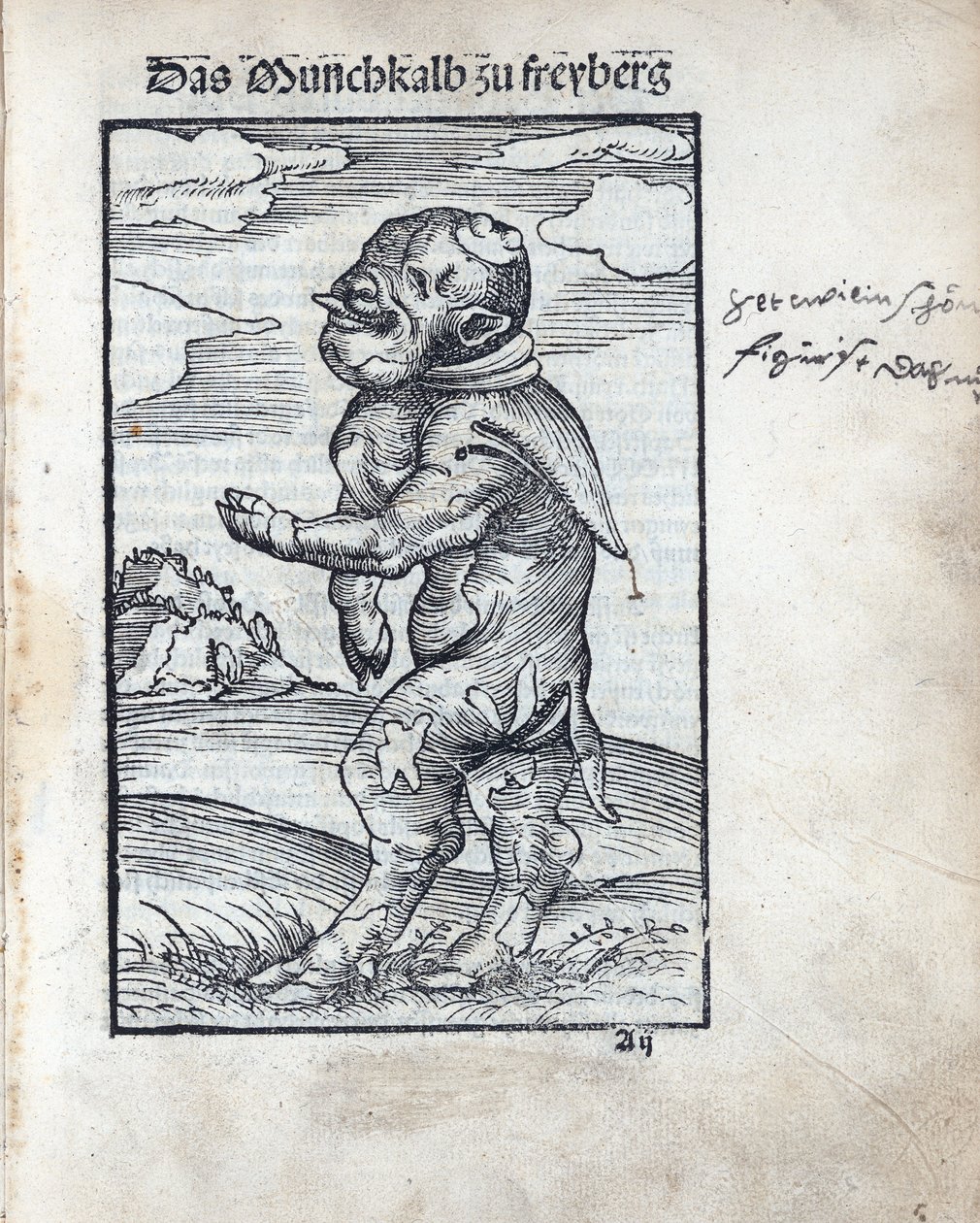 Freibergi szerzetes borjú (Das Moenchkalb zu Freiberg), készítette Cranach, Lucas, az idősebb (1472-1553). fametszet alkotó: Lucas the Elder Cranach