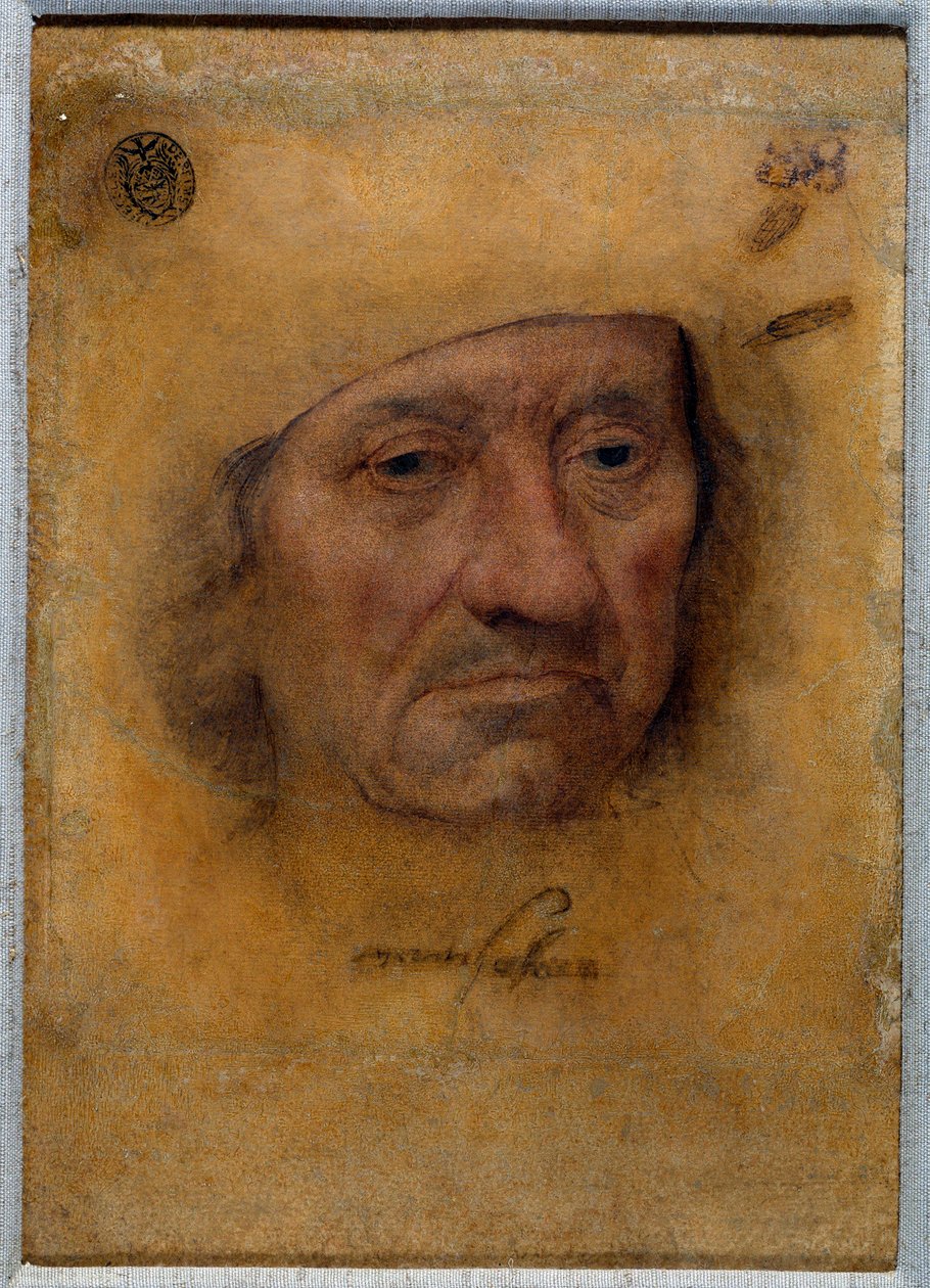 Doktor Petrus von Clapis portréja Bruyn pasztelljével rajzolva, az Öreg Lucas Cranach (vagy az idősebb) iskolájából alkotó: Lucas the Elder Cranach