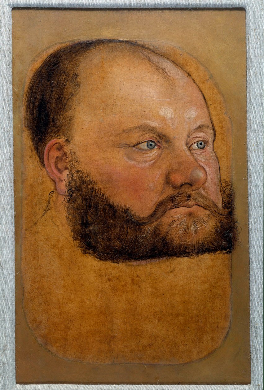 Farkas Anhalt szász herceg portréja, a reformkori herceg pasztellrajza, Lucas Cranach, az öreg (vagy az idősebb) alkotó: Lucas the Elder Cranach