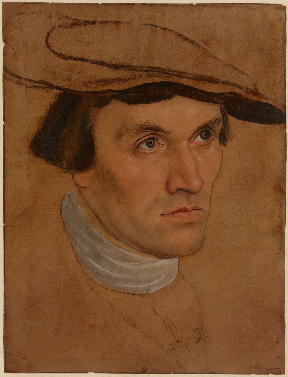 Portrait of a Man, c.1530 (oil on paper) alkotó: Lucas the Elder Cranach