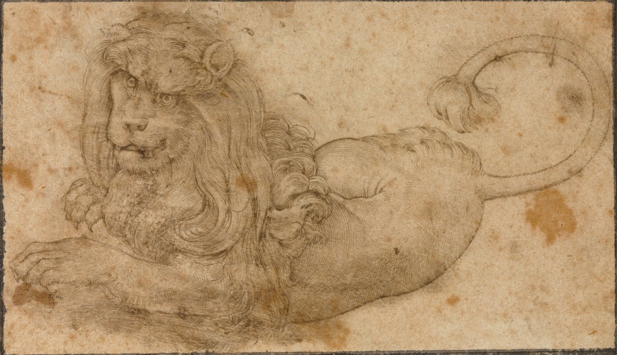 Oroszlántanulmány alkotó: Lucas the Elder Cranach