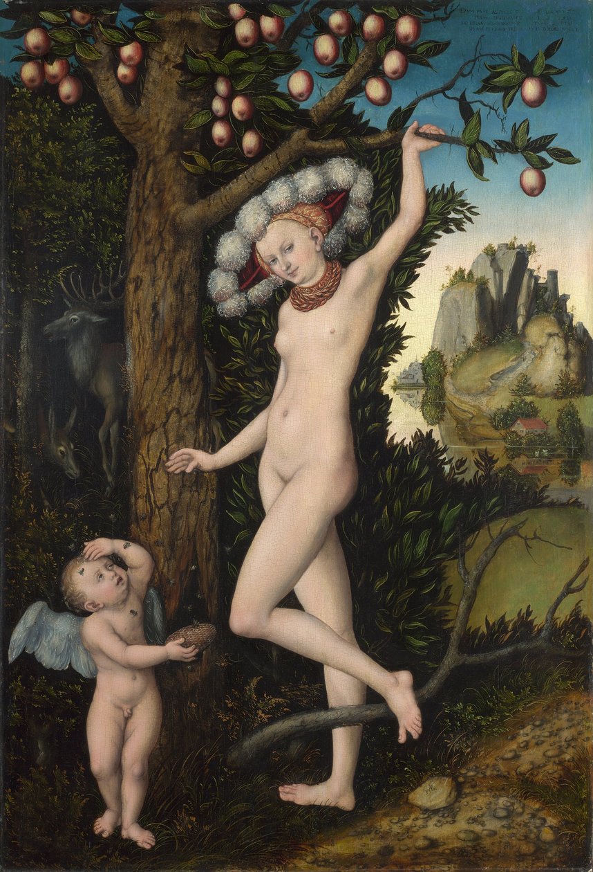 Vénusz és Ámor, 1525 körül (olaj, fa) alkotó: Lucas the Elder Cranach
