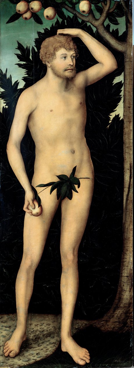 "Adam" Lucas Cranach II, ifjabb (1515-1586) festménye 1537 után Méret: 171 x 63 cm Németország Drezdai Állami Művészeti Gyűjtemények alkotó: Lucas the Younger Cranach