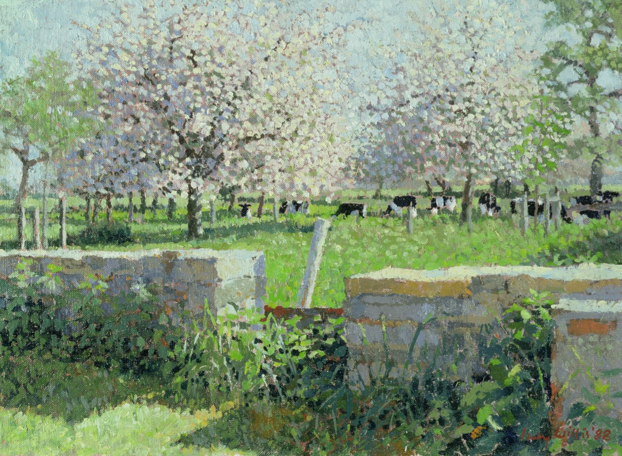 Tehenek a gyümölcsösben, 1988 alkotó: Lucy Willis
