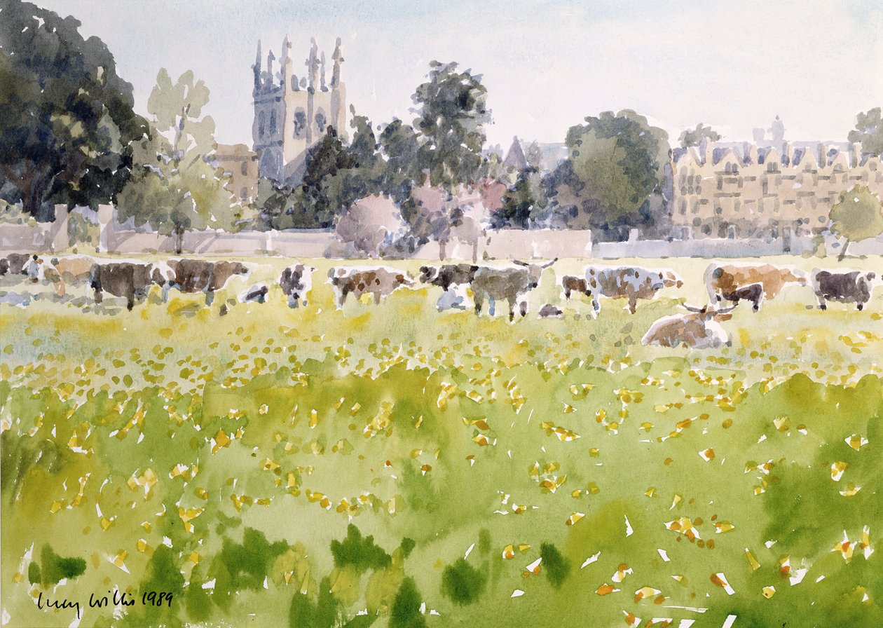 Looking Across Christ Church Meadows, 1989 (wc papíron) alkotó: Lucy Willis
