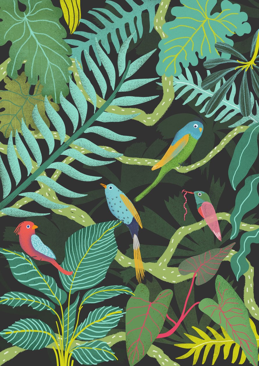 Exotic, 2016 (digitális) alkotó: Lucy Banaji