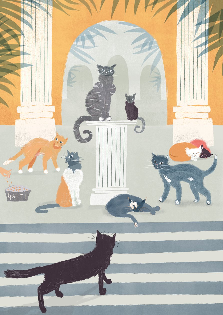 Strays of Rome, 2015 (digitális) alkotó: Lucy Banaji