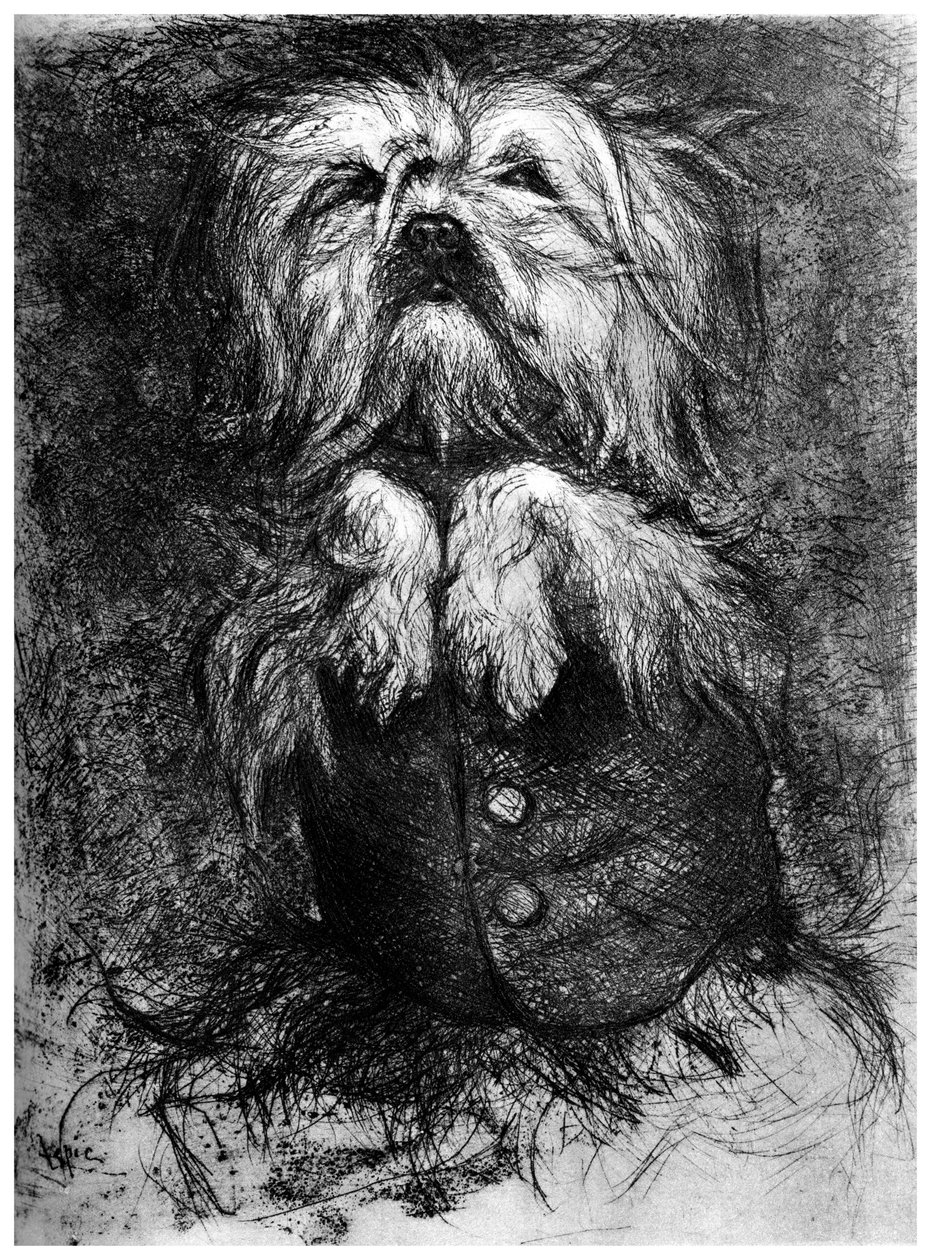 Lintrigant, c1859-1889, 1924 alkotó: Ludovic Lepic