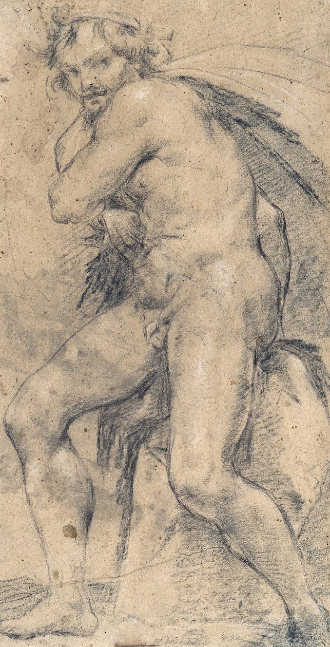 Férfi meztelen (Herkules) alkotó: Ludovico Carracci