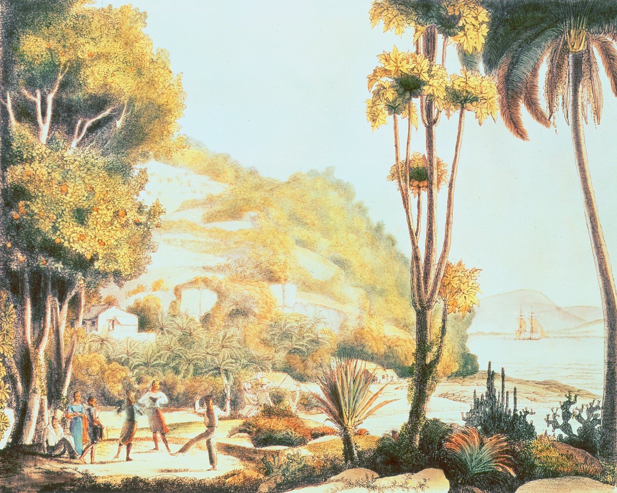 Kilátás Brazília tengerpartjára, Santa Catarina szigetével szemben, 1825 körül alkotó: Ludwig Choris