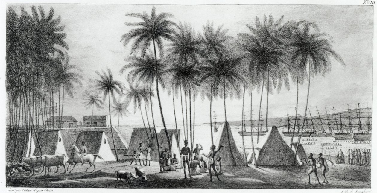Hanarourou kikötője a Sandwich-szigeteken, a „Voyage Pittoresque around the World”-ből, metszett G. Langlume (fl.1822-40) 1822 alkotó: Ludwig Choris