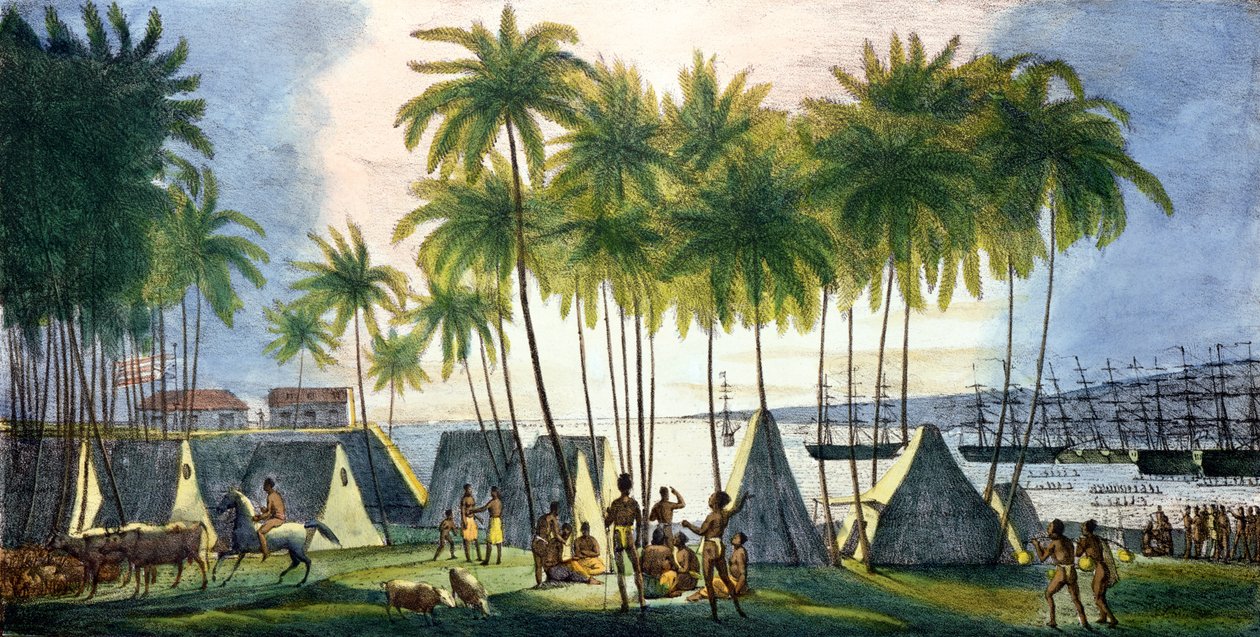 Hanarourou kikötője a Sandwich-szigeteken, a „Voyage Pittoresque around the World”-ből, metszett G. Langlume (fl.1822-40) 1822 alkotó: Ludwig Choris