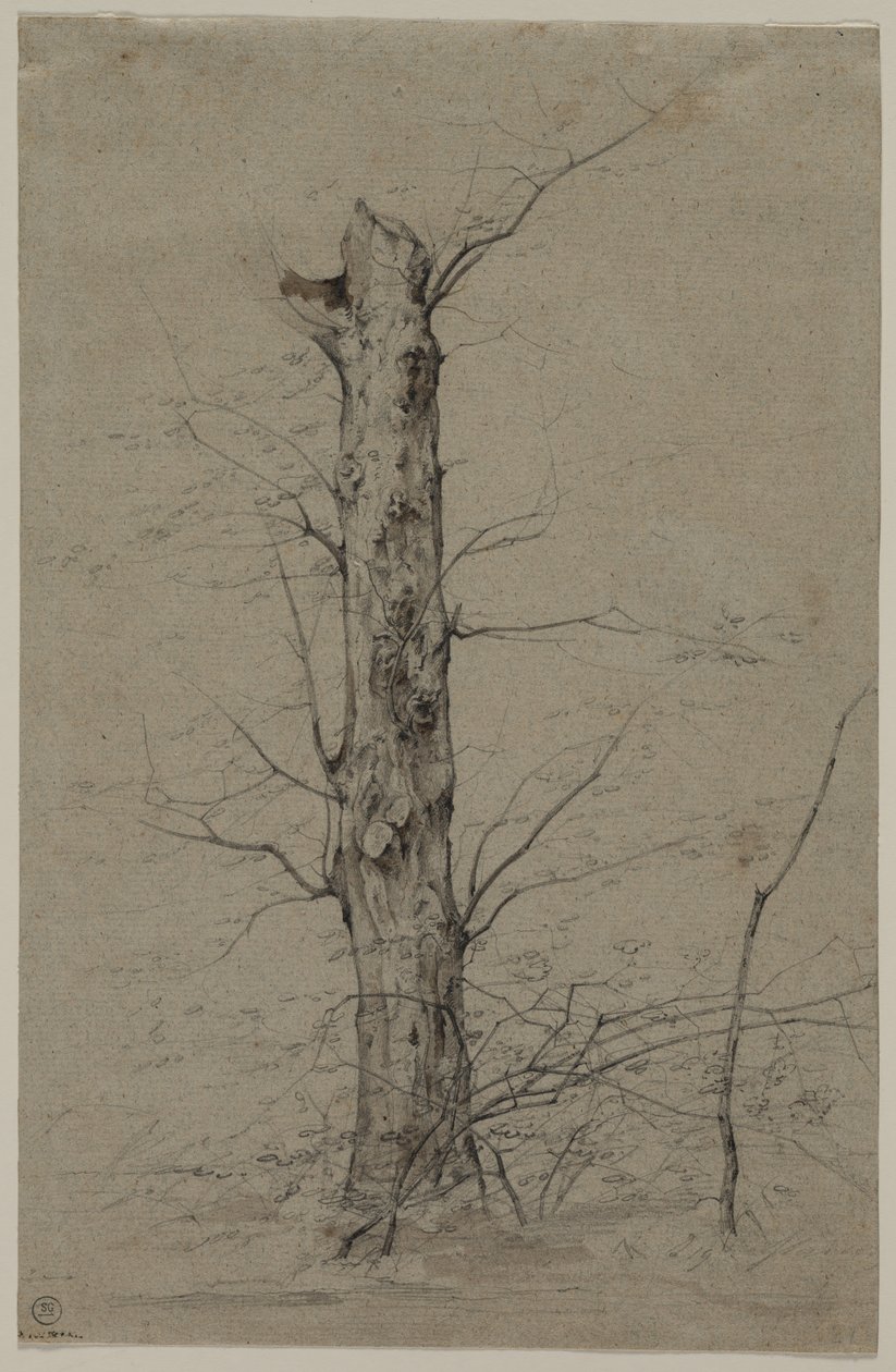 fa, c. 1835-45. alkotó: Ludwig Ferdinand Schnorr von Carolsfeld