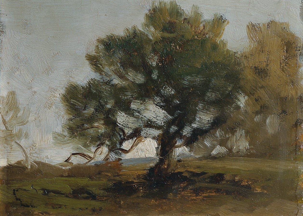 tájkép alkotó: Ludwig Willroider