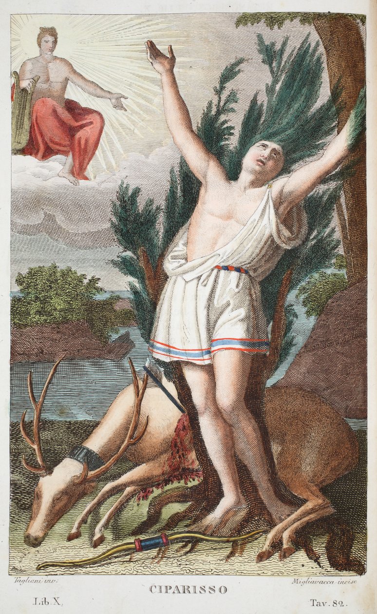 Cyparissus in a Tree vagy Ciparisso, X. könyv, illusztráció Ovidius Metamorphoses című művéből, Firenze, 1832 (kézzel színezett metszet) alkotó: Luigi Ademollo