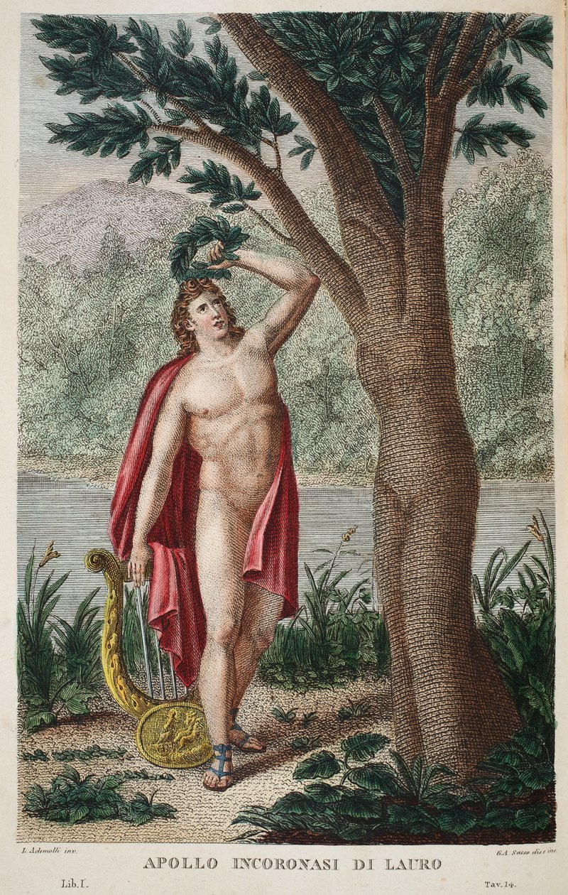 Daphne babérba vagy Apollo Incoronasi de Lauro, illusztráció Ovidius Metamorphoses című művéből, Firenze, 1832 (kézzel színezett metszet) alkotó: Luigi Ademollo