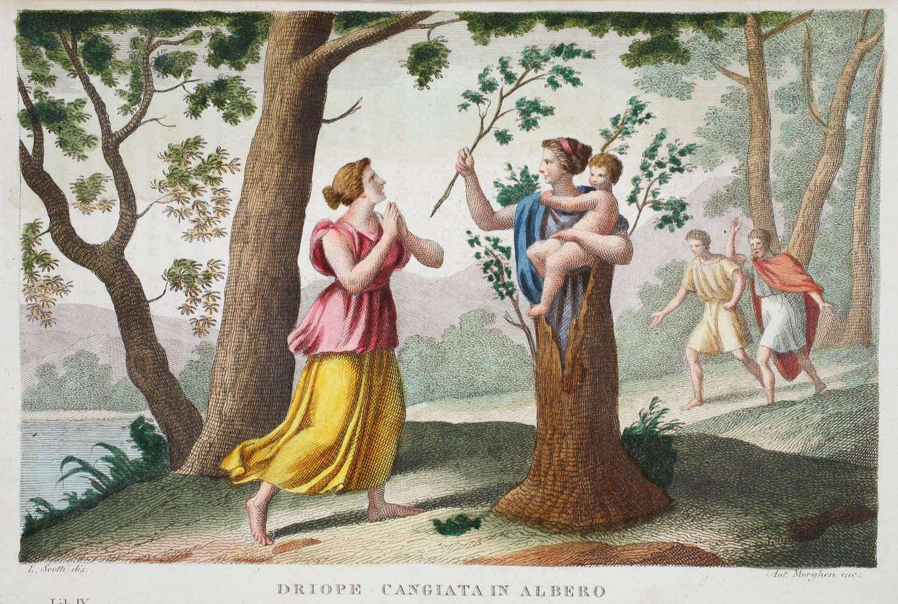 Száraz fába vagy Driope cangiata alberóban, IX. könyv, illusztráció Ovidius Metamorphoses című művéből, Firenze, 1832 (kézzel színezett metszet) alkotó: Luigi Ademollo